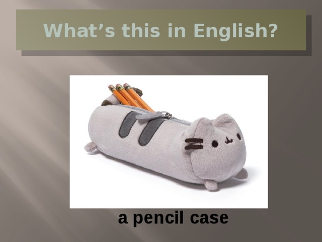 What’s this in English? a pencil case 