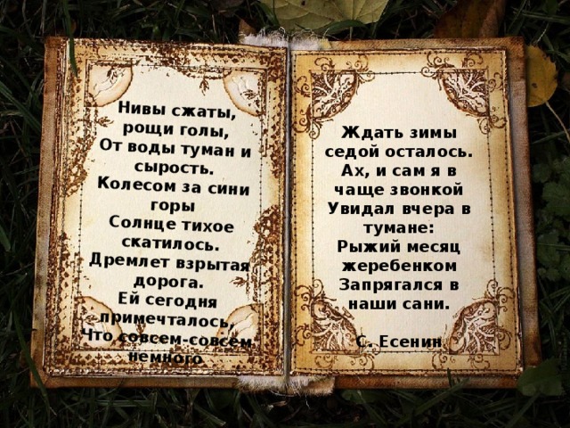 Нивы сжаты, рощи голы,  От воды туман и сырость.  Колесом за сини горы  Солнце тихое скатилось.  Дремлет взрытая дорога.  Ей сегодня примечталось,  Что совсем-совсем немного   Ждать зимы седой осталось.  Ах, и сам я в чаще звонкой  Увидал вчера в тумане:  Рыжий месяц жеребенком  Запрягался в наши сани.  С. Есенин 