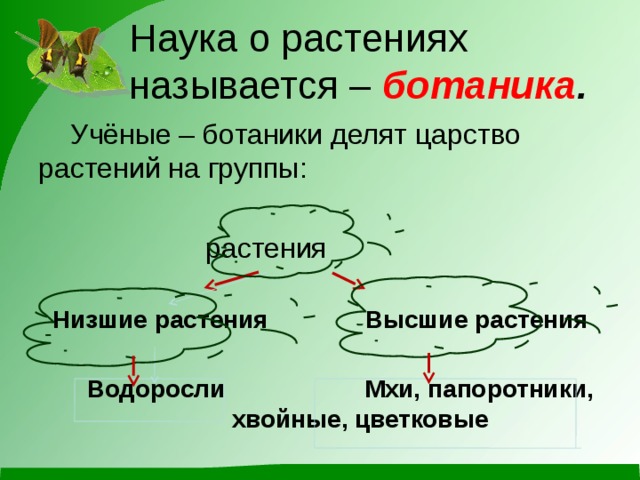 Наука про растения