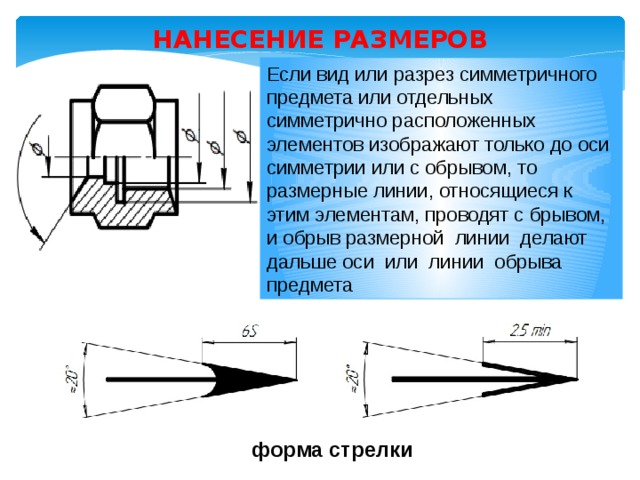 Как нанести размерную линию на рисунок draw