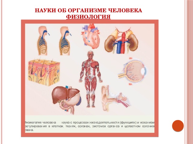 Науки об организме человека  Физиология 