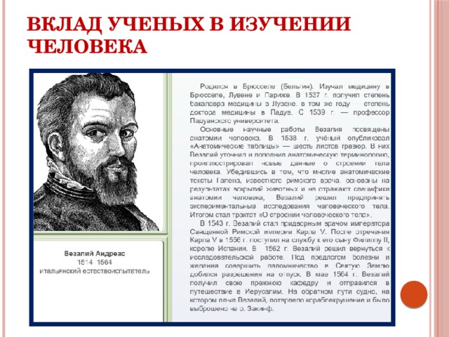 Вклад исследователей. Вклад ученых в изучение человека. Ученые изучающие человека. Вклад ученых в исследовании. Ученые которые изучали человека.