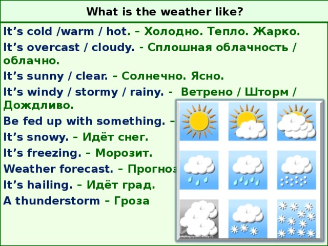 What is the weather like? 