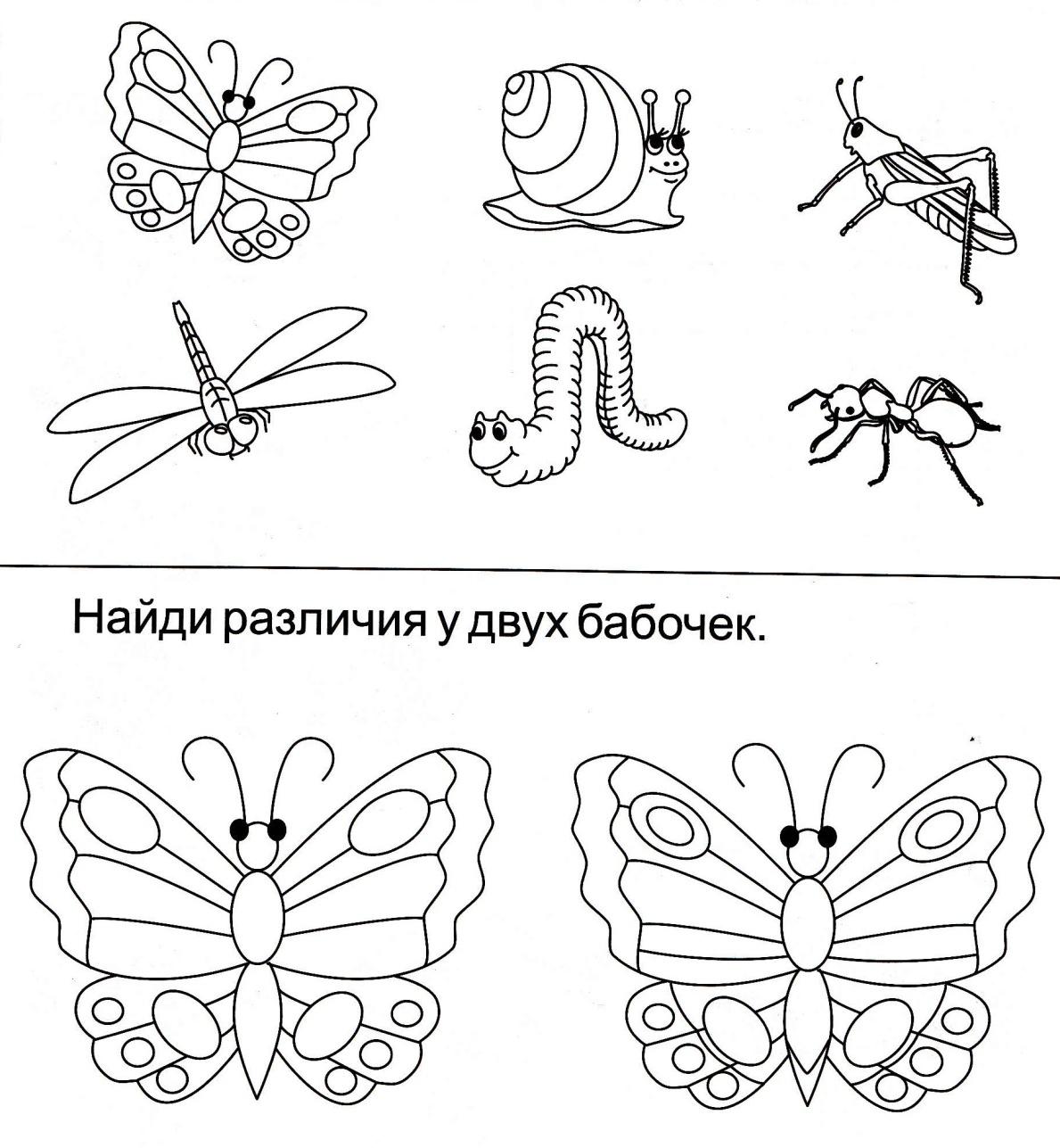 Картинки задания насекомые