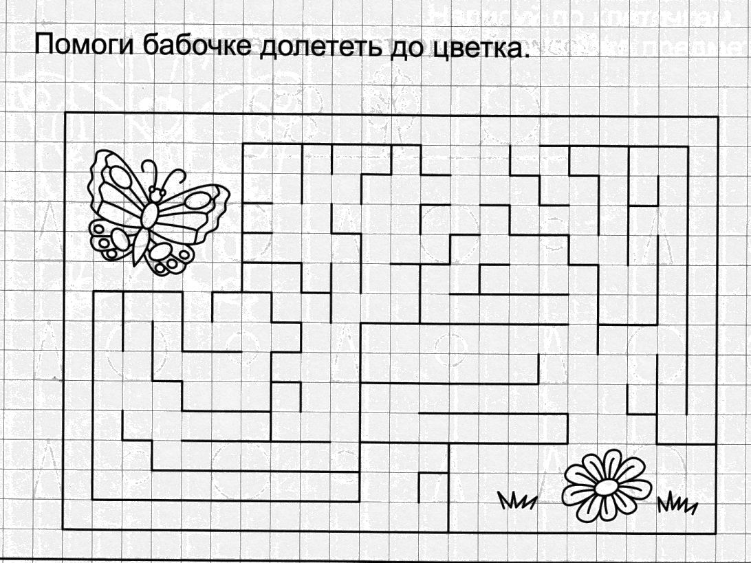 Раскрась схемы слогов на ромашках помоги бабочкам найти свои цветы ответ