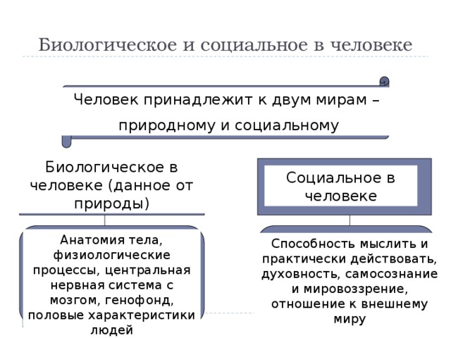 Биологическое и социальное в человеке план