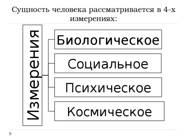 3 сущности человека. Измерения сущности человека. Четыре измерения сущности человека. Три основных измерения сущности человека. Биологическое измерение сущности человека.