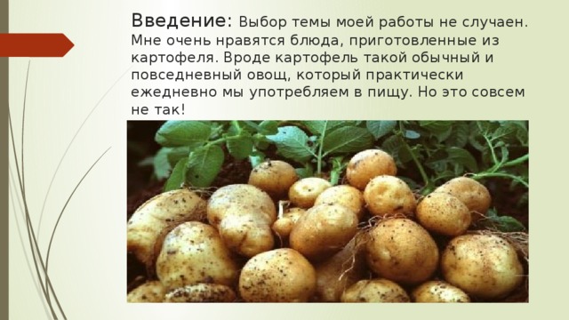 Введение: Выбор темы моей работы не случаен. Мне очень нравятся блюда, приготовленные из картофеля. Вроде картофель такой обычный и повседневный овощ, который практически ежедневно мы употребляем в пищу. Но это совсем не так! 