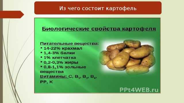 Из чего состоит картофель 