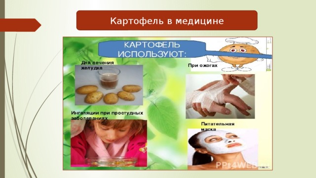 Картофель в медицине 