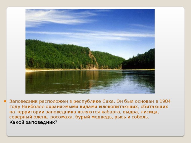 Заповедник расположен в республике Саха. Он был основан в 1984 году Наиболее охраняемыми видами млекопитающих, обитающих на территории заповедника являются кабарга, выдра, лисица, северный олень, росомаха, бурый медведь, рысь и соболь.    Какой заповедник? 
