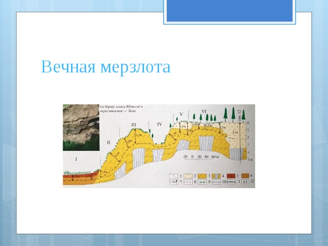 Вечная мерзлота 