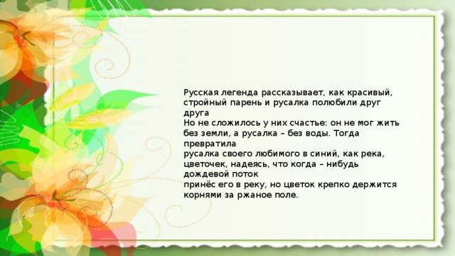 Русская легенда рассказывает, как красивый, стройный парень и русалка полюбили друг друга Но не сложилось у них счастье: он не мог жить без земли, а русалка – без воды. Тогда превратила русалка своего любимого в синий, как река, цветочек, надеясь, что когда – нибудь дождевой поток принёс его в реку, но цветок крепко держится корнями за ржаное поле. 