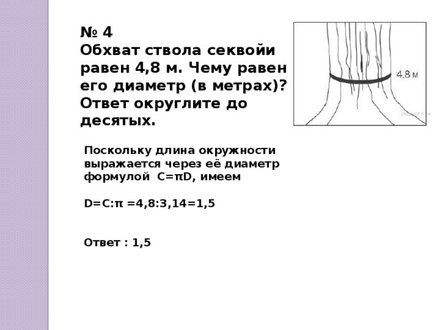 Чему равен 4 метра. Обхват ствола. Окружность ствола. Диаметр окружности = обхват ствола. Длина окружности ствола.