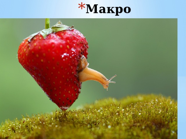 Макро   