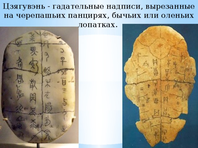 Панцирь как пишется. Гадательные надписи древнего Китая. Китайская письменность цзягувэнь. Цзягувэнь письмена на панцирях и костях. Китайские гадательные Панцири.