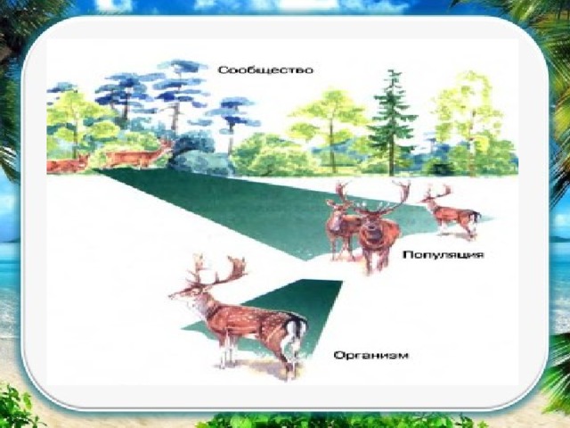 Пищевая сеть биогеоценоза в тундре. Экосистема тундры. Экосистема тундры схема. Обитатели экосистемы тундры. Модель экосистемы тундры.