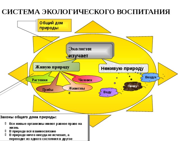 Схема экологическое воспитание