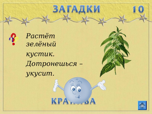 Растёт зелёный кустик. Дотронешься – укусит.  