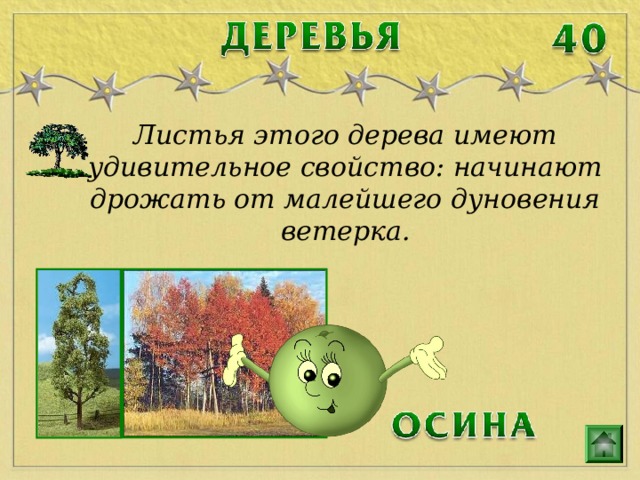 Листья этого дерева имеют удивительное свойство: начинают дрожать от малейшего дуновения ветерка. 