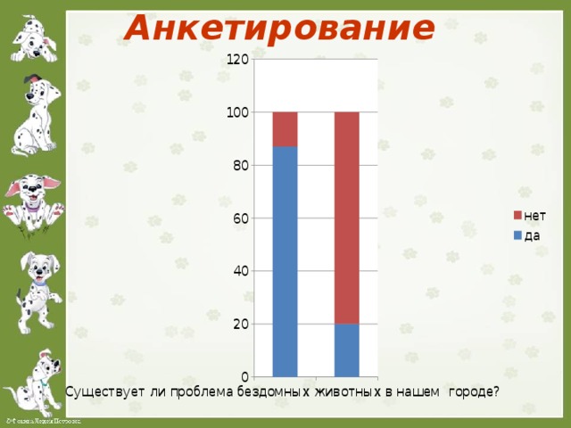 Анкетирование по проекту бездомные животные