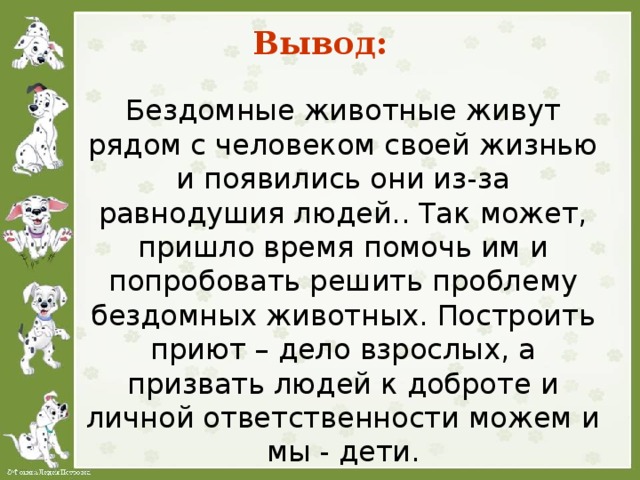 Проект проблема бездомных животных 10 класс