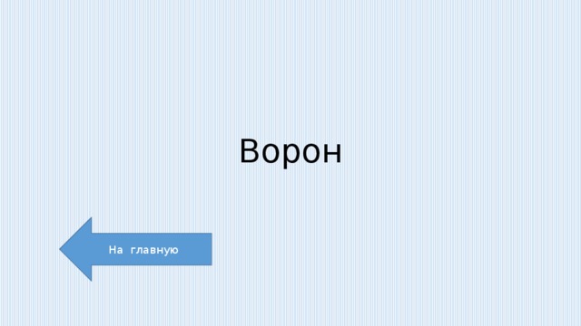 Ворон На главную 