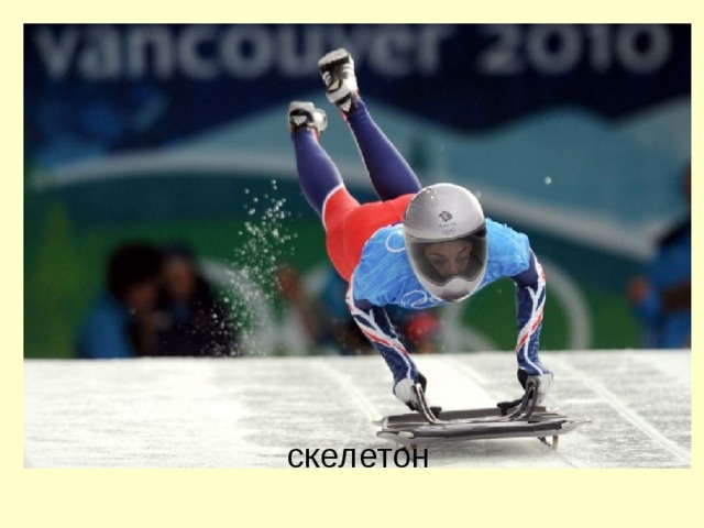 скелетон 