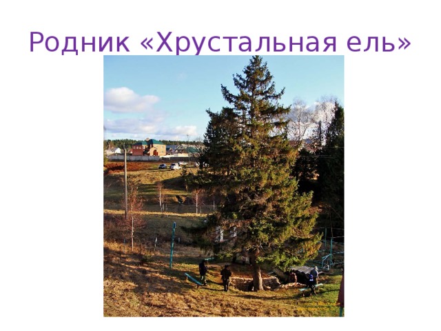 Родник «Хрустальная ель» 