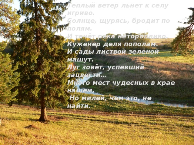 Теплый ветер льнет к селу игриво. Солнце, щурясь, бродит по полям. И течёт река неторопливо, Куженер деля пополам. И сады листвой зелёной машут. Луг зовёт, успевший зацвести… Много мест чудесных в крае нашем,  Но милей, чем это, не найти. Источник «Лисья гора». 