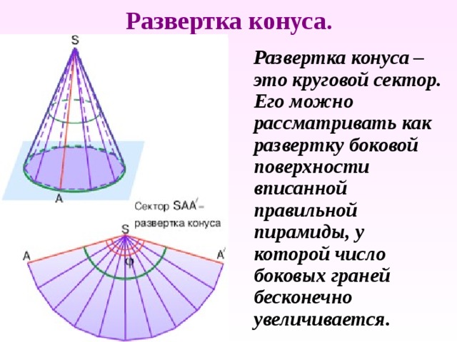 Развертка конуса.  Развертка конуса – это круговой сектор. Его можно рассматривать как развертку боковой поверхности вписанной правильной пирамиды, у которой число боковых граней бесконечно увеличивается. 