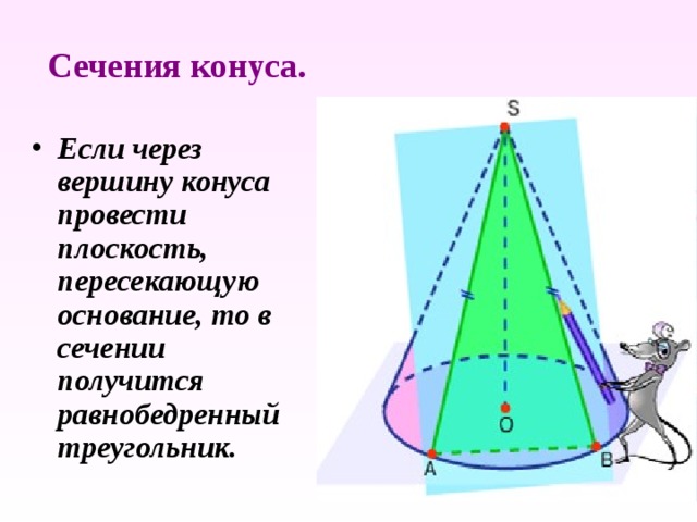 Сечения конуса. Если через вершину конуса провести плоскость, пересекающую основание, то в сечении получится равнобедренный треугольник. 