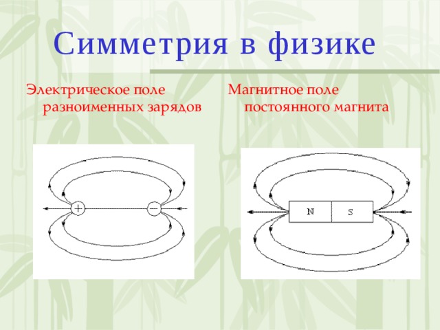 Одноименными или разноименными полюсами образован магнитный спектр на рисунке