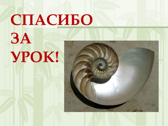Спасибо За Урок!