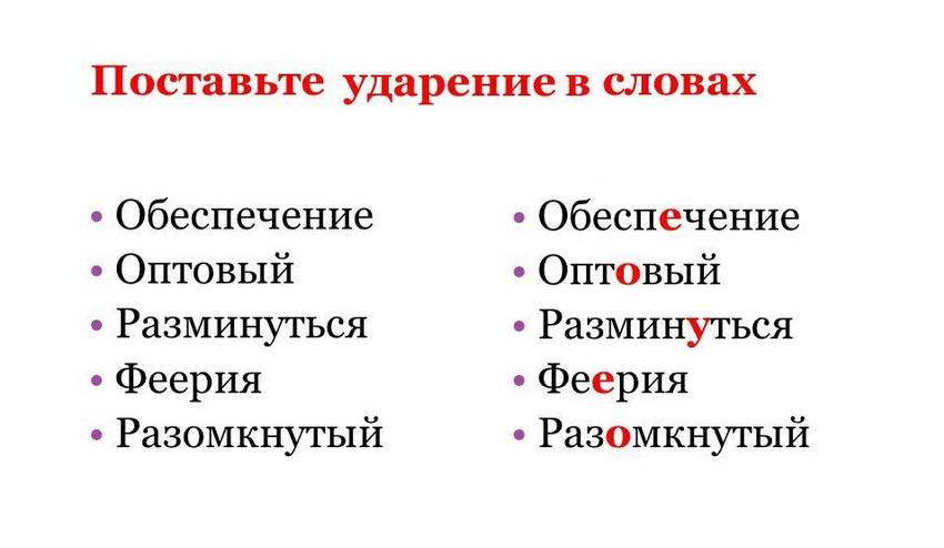 Ударение в слове программное обеспечение
