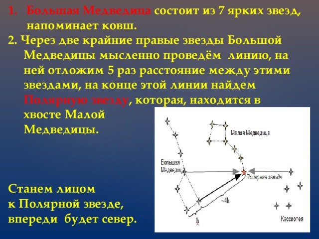 Расстояние малая. Большая Медведица звезды. Большая Медведица яркая звезда. Большая Медведица состоит. Яркая звезда большой медведицы.