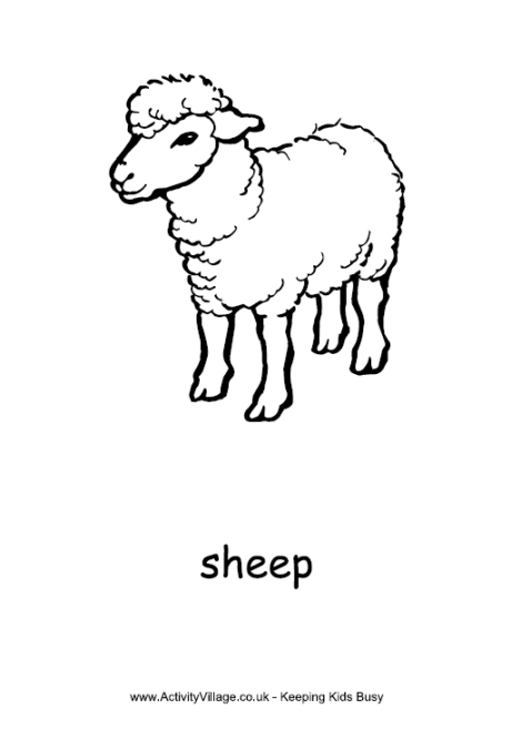 Английский 2 класс добавь нужный цвет sheep. Sheep на английском. Карточки по английскому языку овца. Раскраска овца на английском. Карточка овца для детей