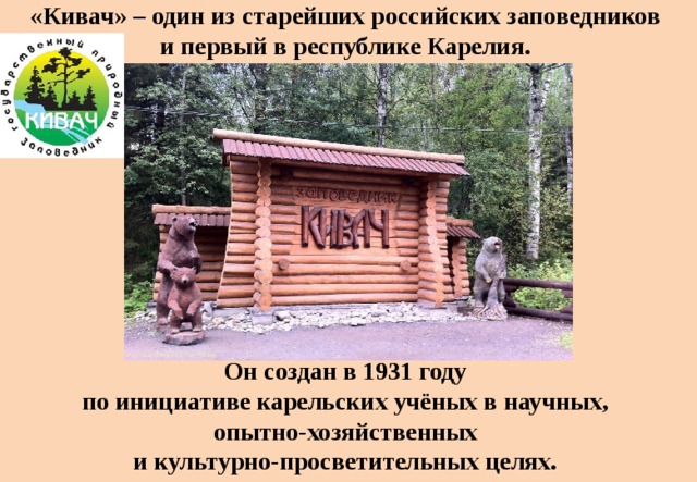 «Кивач» – один из старейших российских заповедников  и первый в республике Карелия. Он создан в 1931 году по инициативе карельских учёных в научных, опытно-хозяйственных и культурно-просветительных целях.  