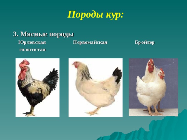 3 куров