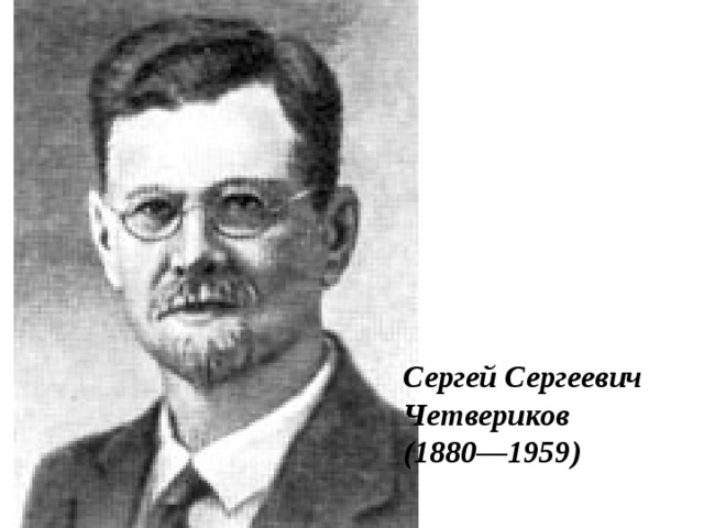 Сергей Сергеевич Четвериков (1880—1959)  