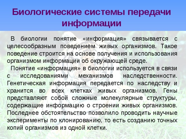 Биологические системы передачи информации В биологии понятие «информация» связывается с целесообразным поведением живых организмов. Такое поведение строится на основе получения и использования организмом информации об окружающей среде. Понятие «информация» в биологии используется в связи с исследованиями механизмов наследственности. Генетическая информация передается по наследству и хранится во всех клетках живых организмов. Гены представляют собой сложные молекулярные структуры, содержащие информацию о строении живых организмов. Последнее обстоятельство позволило проводить научные эксперименты по клонированию, то есть созданию точных копий организмов из одной клетки. 