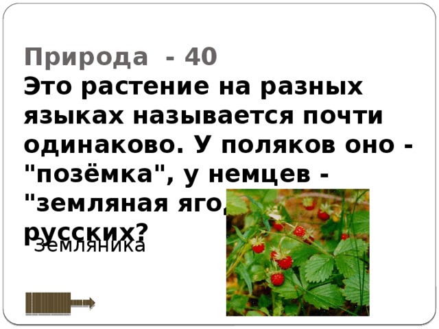 Как называется почти. Это растение на разных языках называется почти одинаково. Трава на разных языках. Поземка у Поляков. Поляки называют эту ягоду поземка а мы как.