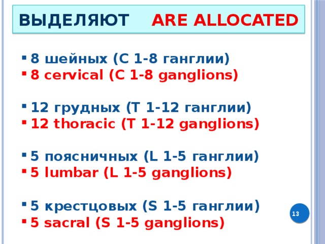 ВЫДЕЛЯЮТ ARE  ALLOCATED 8 шейных (С 1-8 ганглии) 8 cervical (C 1-8 ganglions)  12 грудных (Т 1-12 ганглии) 12 thoracic (T 1-12 ganglions)  5 поясничных (L 1-5 ганглии) 5 lumbar (L 1-5 ganglions)  5 крестцовых (S 1-5 ганглии ) 5 sacral (S 1-5 ganglions)   