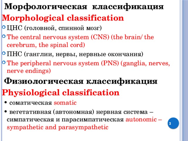  Морфологическая классификация Morphological classification ЦНС (головной, спинной мозг) The central nervous system (CNS) (the brain/ the cerebrum, the spinal cord) ПНС (ганглии, нервы, нервные окончания) The peripheral nervous system (PNS) (ganglia, nerves, nerve endings)  Физиологическая классификация Physiological classification • соматическая somatic • вегетативная (автономная) нервная система – симпатическая и парасимпатическая autonomic – sympathetic and parasympathetic  