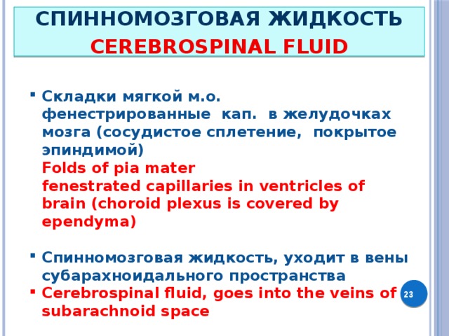 СПИННОМОЗГОВАЯ ЖИДКОСТЬ CEREBROSPINAL FLUID Складки мягкой м.о. фенестрированные кап. в желудочках мозга (сосудистое сплетение, покрытое эпиндимой) Folds of pia mater fenestrated capillaries in ventricles of brain (choroid plexus is covered by ependyma)  Спинномозговая жидкость, уходит в вены субарахноидального пространства Cerebrospinal fluid, goes into the veins of subarachnoid space  