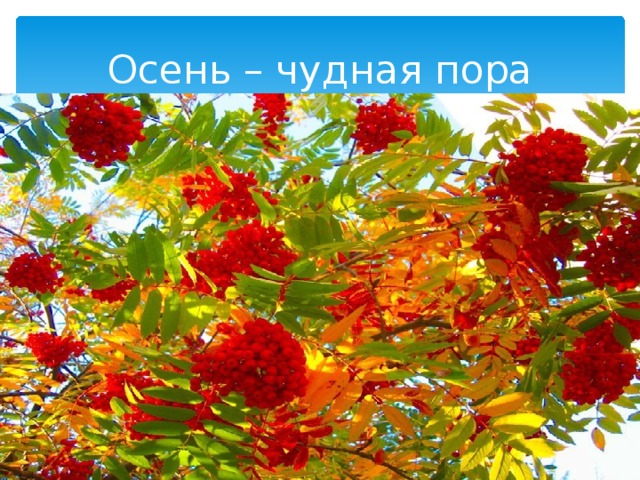 Осень – чудная пора 