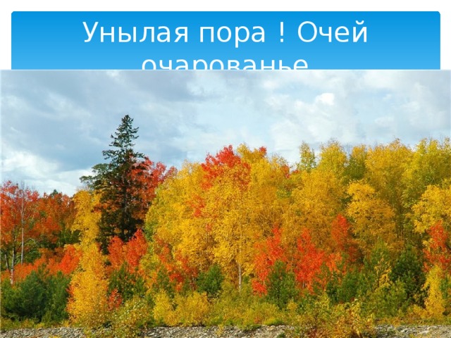 Унылая пора ! Очей очарованье 