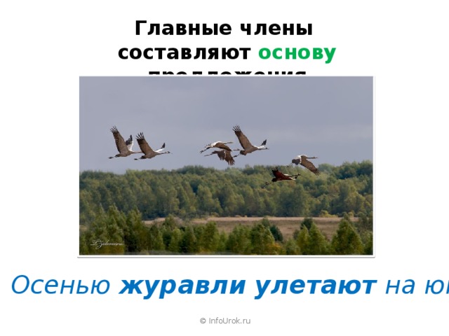 Главные члены составляют основу предложения  Осенью журавли улетают на юг. © InfoUrok.ru 