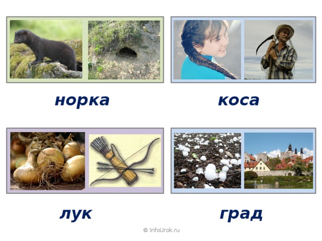 коса норка град лук © InfoUrok.ru 