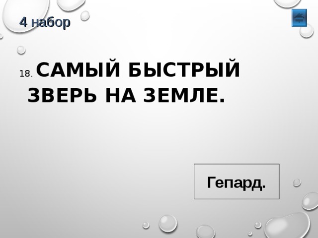 4 набор 18. САМЫЙ БЫСТРЫЙ ЗВЕРЬ НА ЗЕМЛЕ. Гепард. 